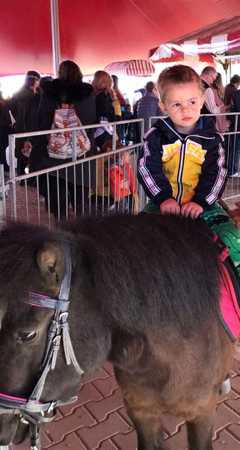 Забавления за деца в София - цирк и конна езда / цени и премеждия ...