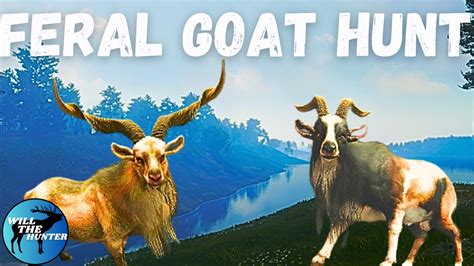 Hunting A Max Level & Rare Mixed Feral Goat At Level 32! TheHunter Call Of The Wild