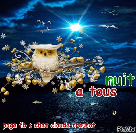 CHOUETTE NUIT | Bonne nuit bisous, Carte bonne nuit, Nuit