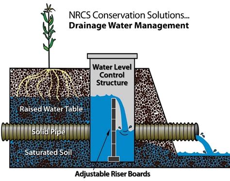 Drainage Water Management Facts | Soil and Water Conservation Society