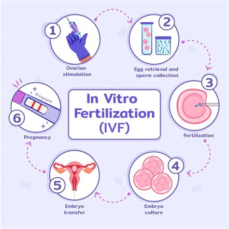 IVF Treatment - Meaning, Process, IVF Treatment for Pregnancy