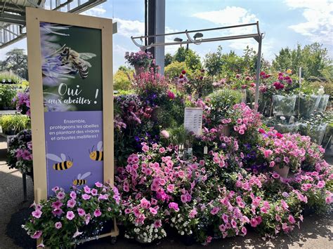 Truffaut Le Chesnay - Parly 2 - Home