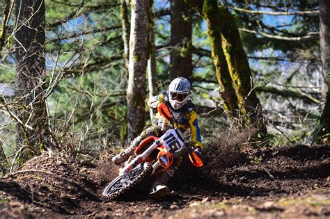 sports, forest, bicycle, motorcycle, vehicle, motocross, racing, KTM ...