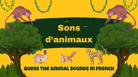 Sons d'animaux - Guess the Animal Sounds in French - YouTube