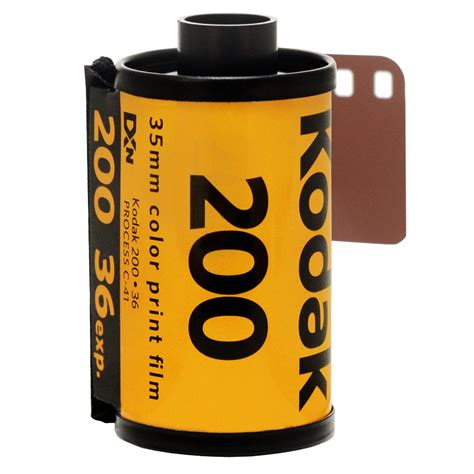 KODAK GOLD 200 135-36 3er Pack (Films) - fotoimpex.com analogue photography