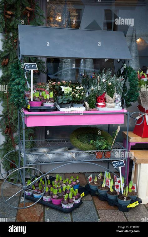 Flower shop window display plants Banque de photographies et d’images à ...