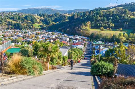 Baldwin Street, Dunedin: How To Reach, Best Time & Tips