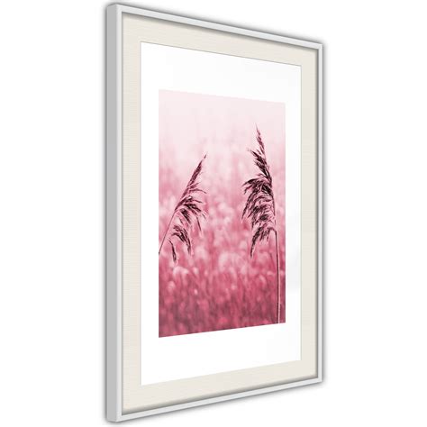 Poster et affiche - Amaranth Meadow 40x60 cm | Leroy Merlin