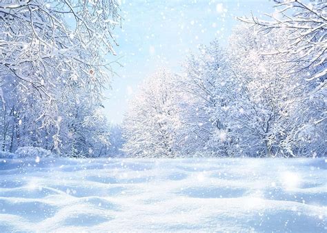 Download Shining And Shimmering Snowy Background | Wallpapers.com