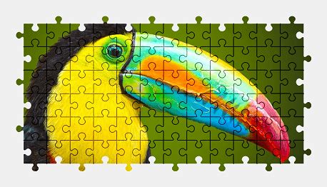 Toucan - Jigsaw Puzzles Online