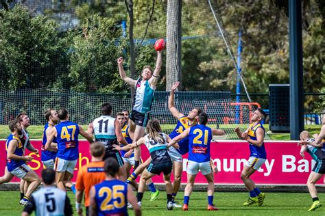 Your Footy - AFL News