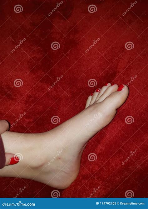 Feet pictures for sale stock image. Image of girl, cute - 174702705