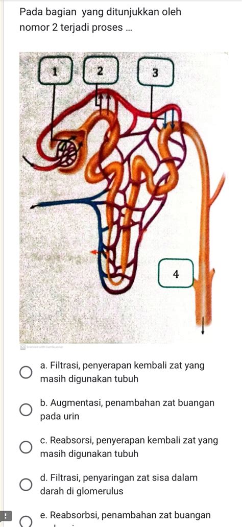 Pada bagian yang ditunjukkan oleh nomor 2 terjadi proses a Filtrasi ...