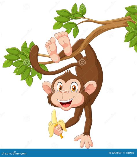 Cartoon Happy Monkey Hanging and Holding Banana Stock Vector ...