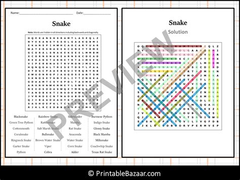 Snake Word Search Puzzle Worksheet Activity | Teaching Resources