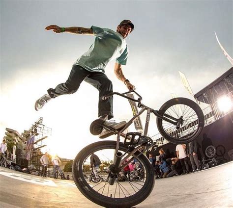 Buying your first wheelie bike the ultimate guide – Artofit