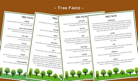 Trees Fun Facts Sheets | KS1/KS2 Plants | Primary Science