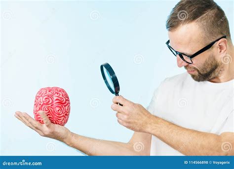 Man looking at human brain stock photo. Image of mental - 114566898