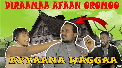 Diraamaa Afaan Oromoo l Koomeedii Ayyaana Waggaa - YouTube