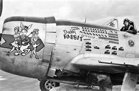 P-47 Thunderbolt “Daddy Rabbit” with an impressive collection of ...