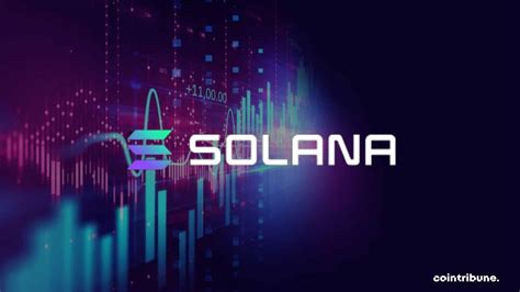 Crypto : Solana impressionne avec 2500 développeurs actifs