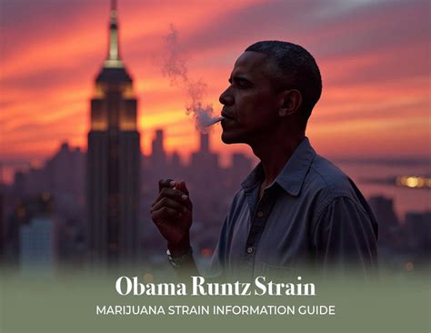 Obama Runtz Strain: Marijuana Strain Information Guide