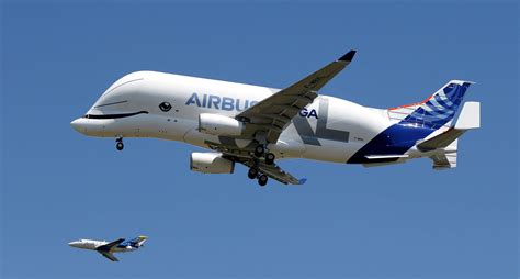 El gigantesco Beluga XL de Airbus realiza su primer vuelo de prueba ...