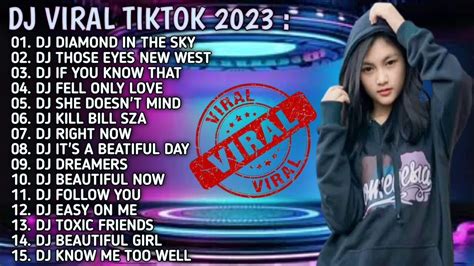 DJ DIAMOND IN THE SKY REMIX TIKTOK TERBARU FULL BASS -DJ TIKTOK FULL ALBUM 2023
