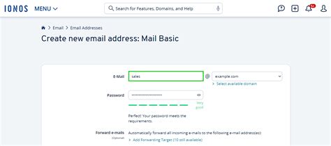 Transferring Domains with Websites, Emails, and Subdomains - IONOS Help
