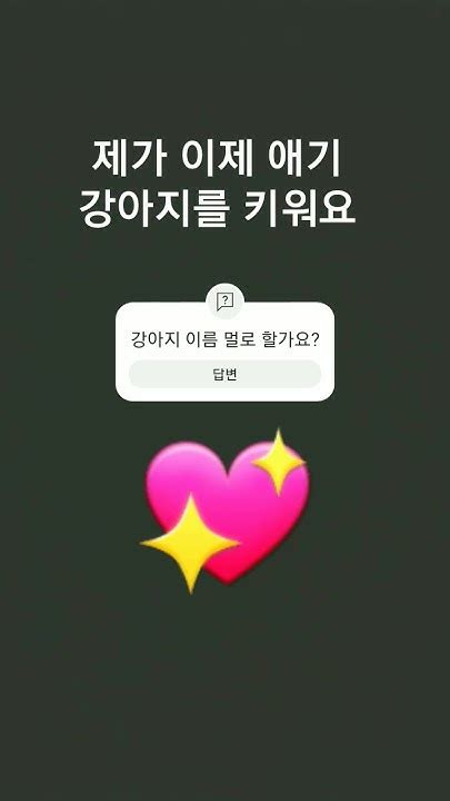 강아지이름좀 지어주세요ㅠ - YouTube