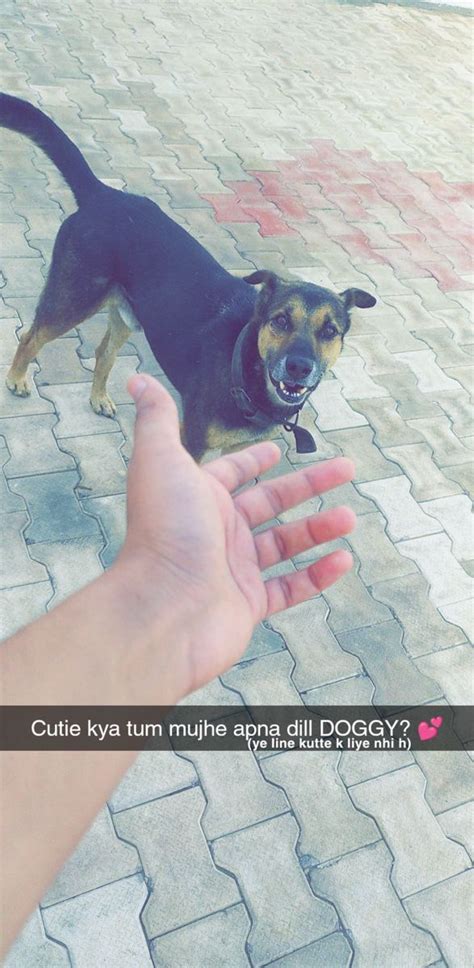 Doggy - Snap Ideas | Funny snapchat pictures, Snapchat funny, Funny ...