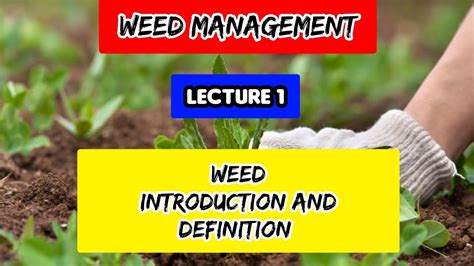 Introduction and Definition of Weed | Weed Management | Elective II | BSc Agriculture 6th Semester