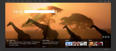 New Bing homepage goes live, now with larger featured photo and tiles ...