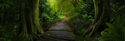 La forêt enchantée - The Green Escape Game - Saint-Jean-Bonnefonds