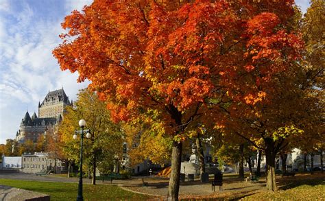 Québec — Quoi faire au Québec