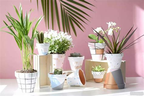 DIY Customiser les pots de fleurs | Pot de fleurs, Petits pots de ...