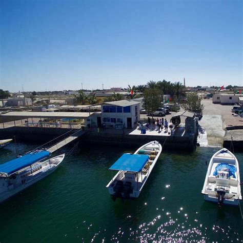 Scuba Diving and Snorkeling in Ras Al Khaimah: A Complete Guide