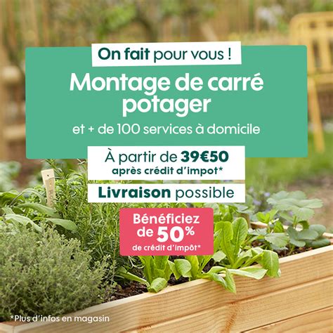 Truffaut Saint... - Truffaut Saint Jory - Jardineries Grégori