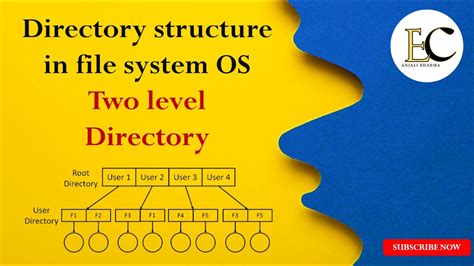 Directory structure in file system OS | Single level, two level Directory #educationcandle