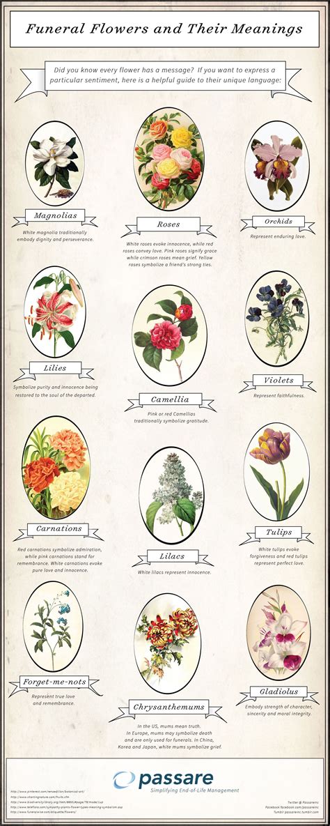 Flower Meanings Chart: A Visual Reference of Charts | Chart Master