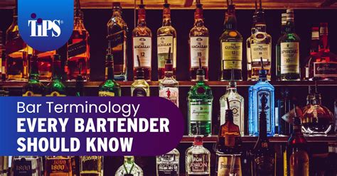 Bar Terminology Every Bartender Should Know | TIPS