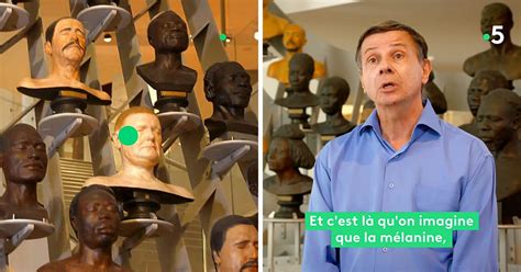 Hommes blancs, hommes noirs. Pourquoi ces différences