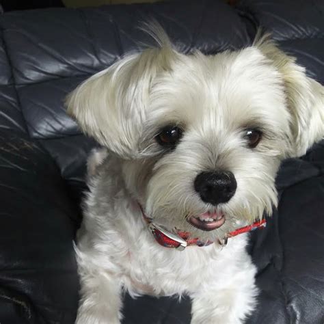 setsuko (@setsuko496) • Threads, Say more