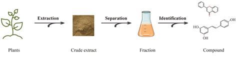 Separations | Free Full-Text | Extraction and Analysis of Chemical ...