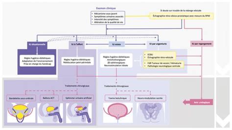 Incontinence urinaire masculine : démarche diagnostique et ...