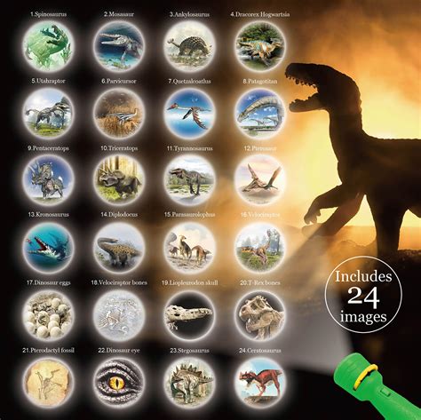 Dinosaurs Of The World | WILD! Science