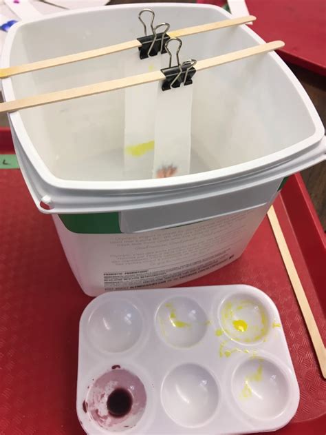 Chromatography with coloured candy | ingridscience.ca