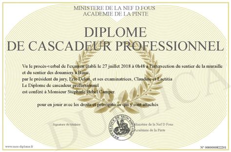 Diplome-de-cascadeur-professionnel