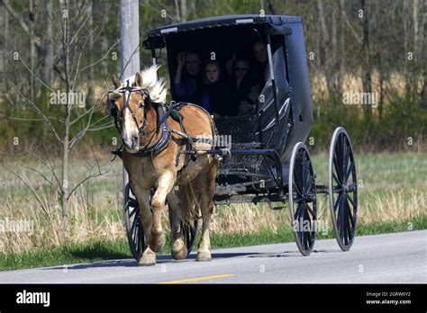 Amish horse and buggy Banque de photographies et d’images à haute ...