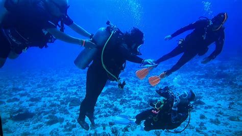 Scuba Diving made Accessible to Every Body throughout Pacific Northwest ...